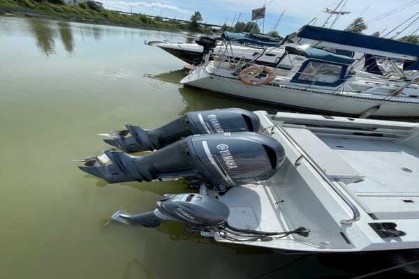 2015 KingFisher null