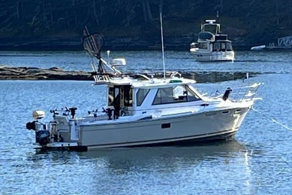2018 Cutwater C28