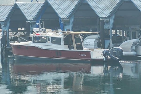 2021 Ranger Tugs null