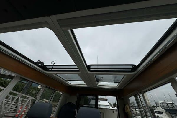 2021 Nimbus null