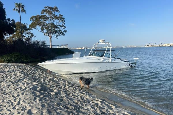 2008 Baia Baja 30 Outlaw