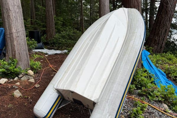 2019 Cutwater null