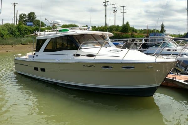 2019 Cutwater null