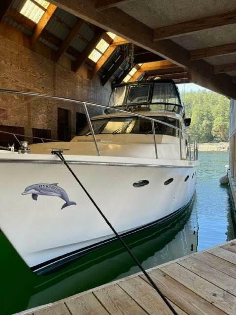 1991 Ocean Alexander null