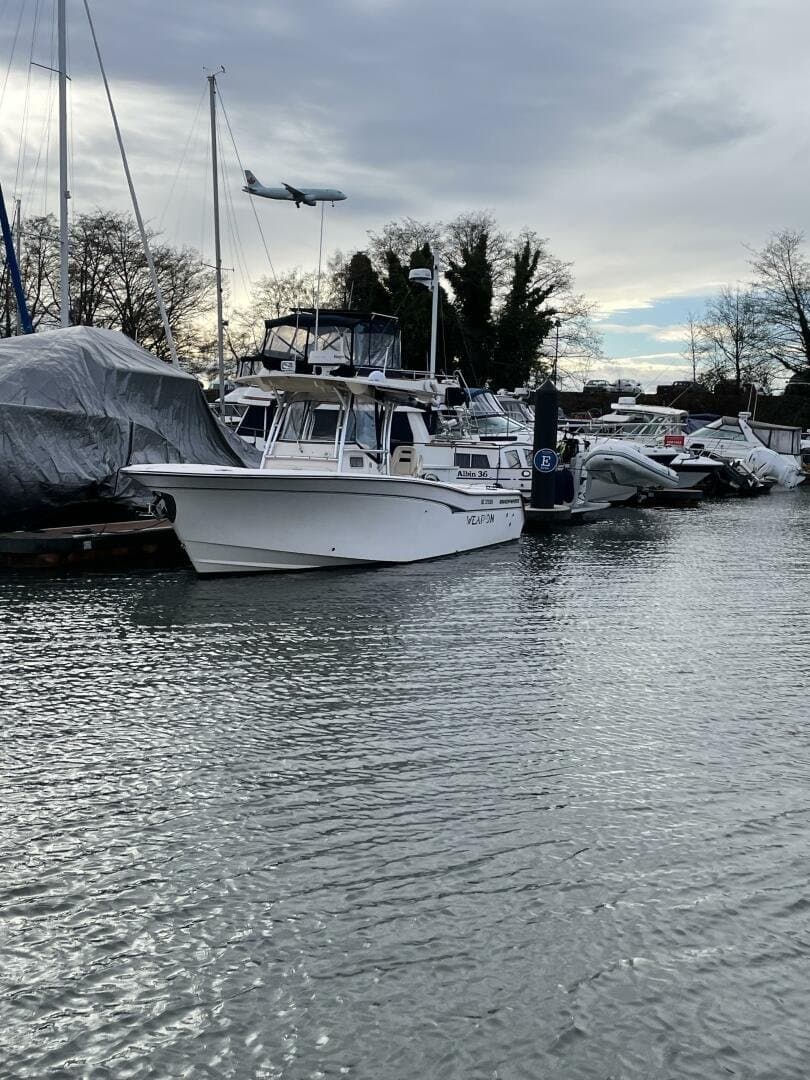 2006 Grady-White 306 Bimini